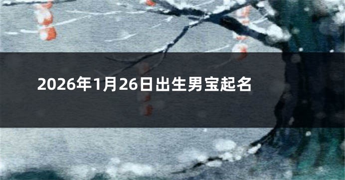 2026年1月26日出生男宝起名