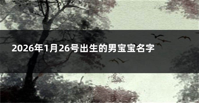 2026年1月26号出生的男宝宝名字