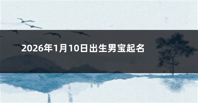 2026年1月10日出生男宝起名