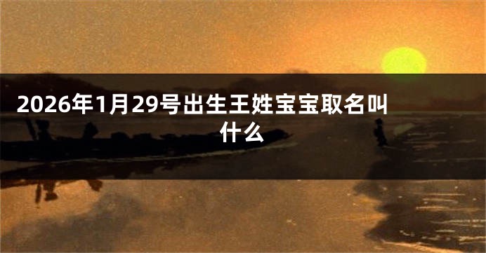 2026年1月29号出生王姓宝宝取名叫什么