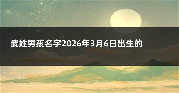 武姓男孩名字2026年3月6日出生的