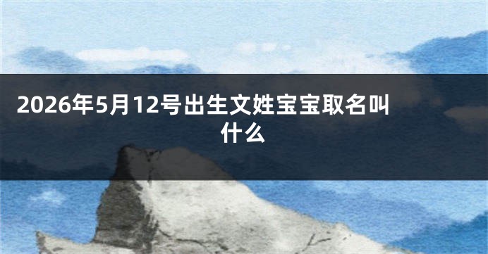 2026年5月12号出生文姓宝宝取名叫什么