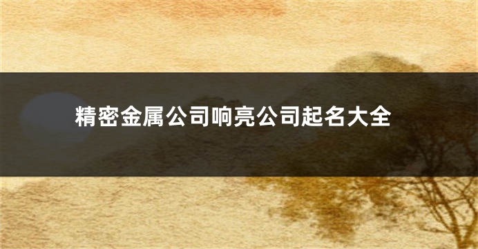 精密金属公司响亮公司起名大全