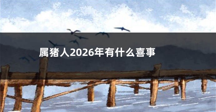 属猪人2026年有什么喜事