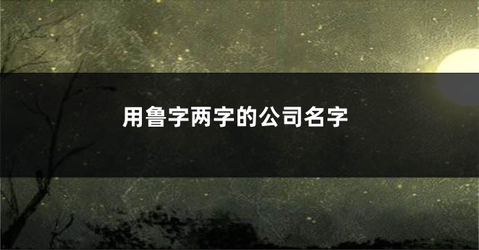 用鲁字两字的公司名字