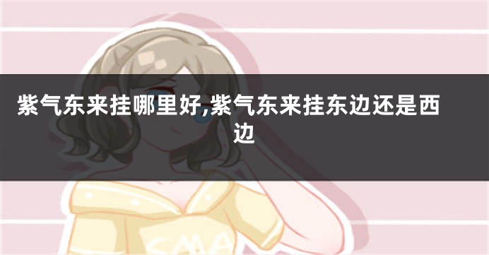 紫气东来挂哪里好,紫气东来挂东边还是西边