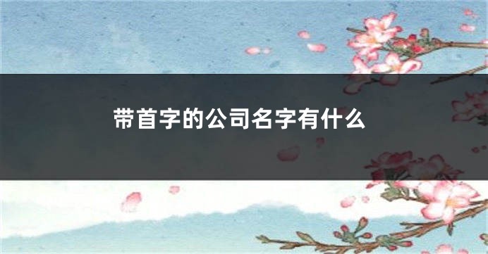 带首字的公司名字有什么