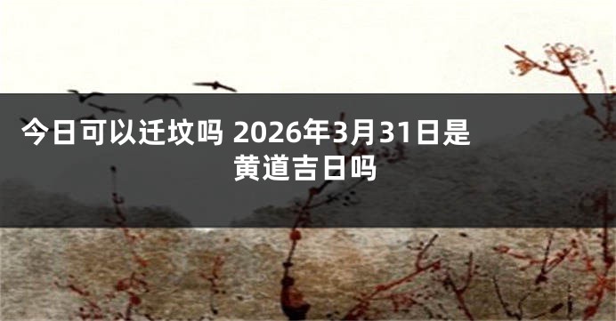 今日可以迁坟吗 2026年3月31日是黄道吉日吗