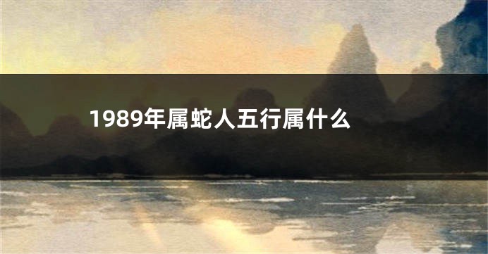 1989年属蛇人五行属什么