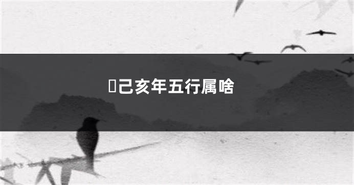 ​己亥年五行属啥