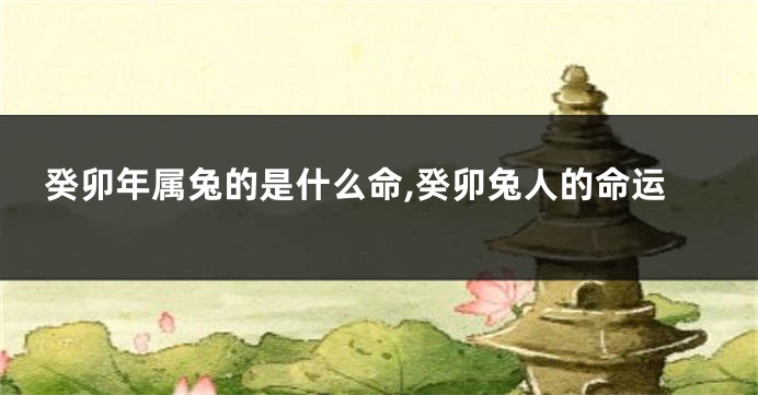 癸卯年属兔的是什么命,癸卯兔人的命运