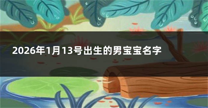 2026年1月13号出生的男宝宝名字