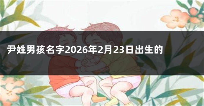 尹姓男孩名字2026年2月23日出生的