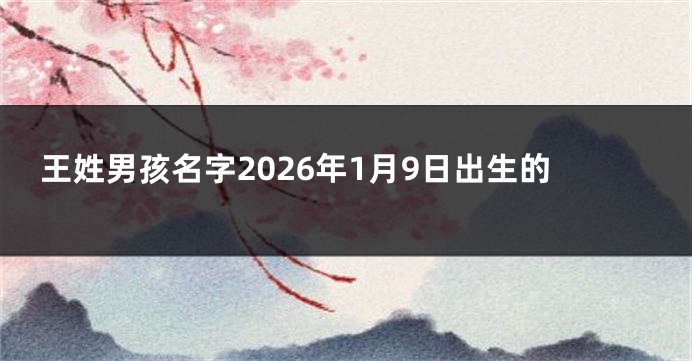 王姓男孩名字2026年1月9日出生的
