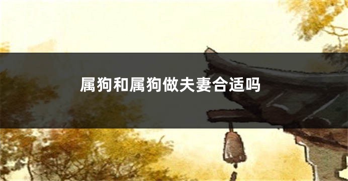属狗和属狗做夫妻合适吗