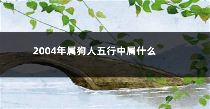 2004年属狗人五行中属什么