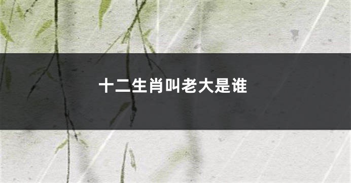 十二生肖叫老大是谁
