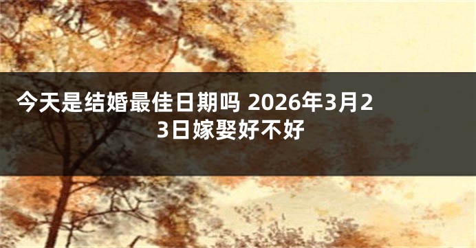 今天是结婚最佳日期吗 2026年3月23日嫁娶好不好