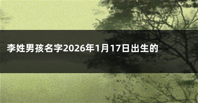 李姓男孩名字2026年1月17日出生的