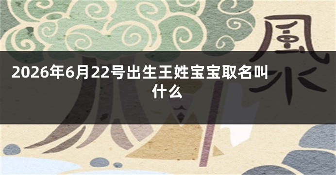 2026年6月22号出生王姓宝宝取名叫什么
