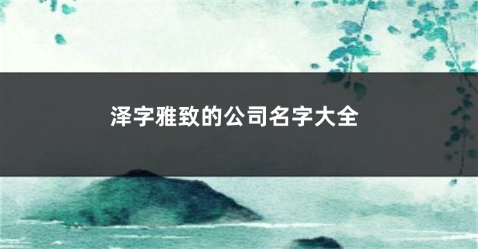 泽字雅致的公司名字大全