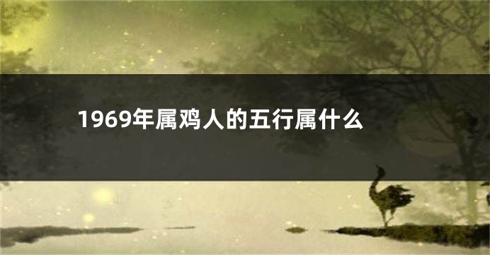 1969年属鸡人的五行属什么