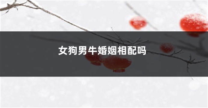 女狗男牛婚姻相配吗