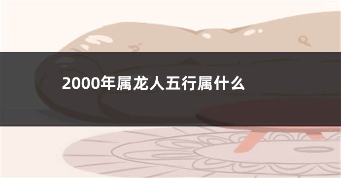 2000年属龙人五行属什么