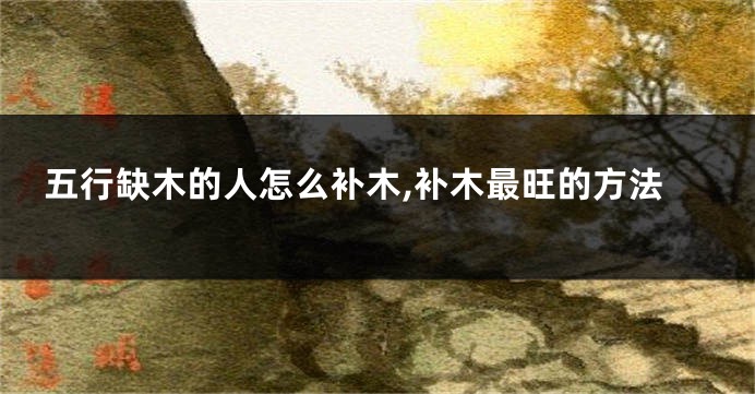 五行缺木的人怎么补木,补木最旺的方法