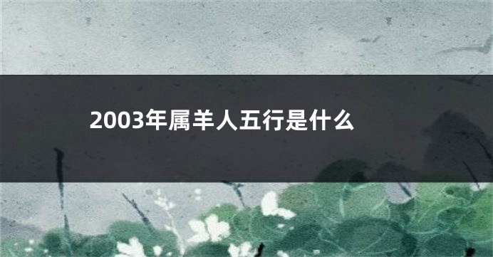 2003年属羊人五行是什么