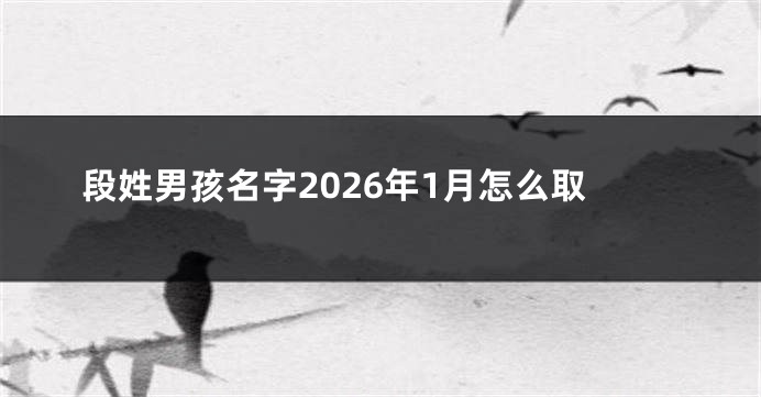 段姓男孩名字2026年1月怎么取