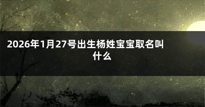 2026年1月27号出生杨姓宝宝取名叫什么
