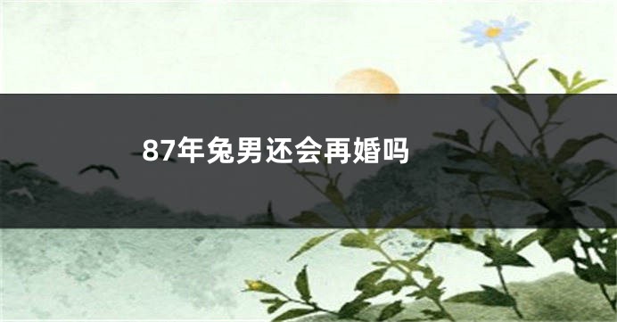 87年兔男还会再婚吗
