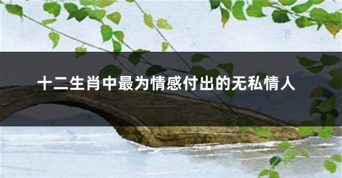 十二生肖中最为情感付出的无私情人