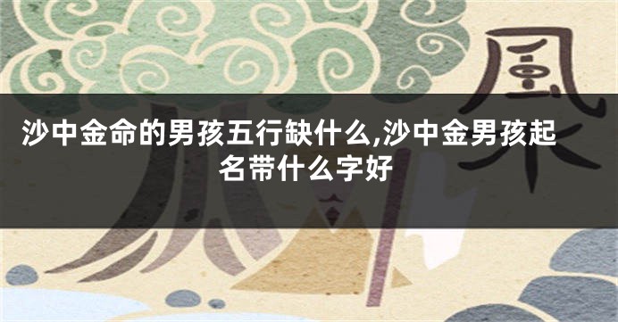 沙中金命的男孩五行缺什么,沙中金男孩起名带什么字好