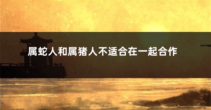 属蛇人和属猪人不适合在一起合作