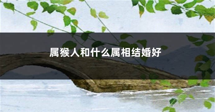 属猴人和什么属相结婚好