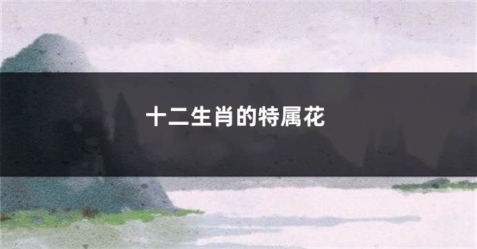 十二生肖的特属花