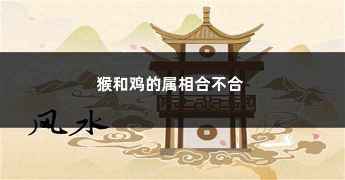 猴和鸡的属相合不合