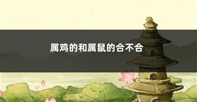属鸡的和属鼠的合不合