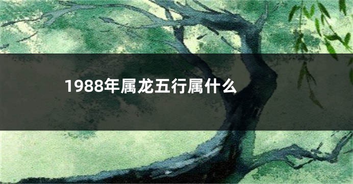 1988年属龙五行属什么 