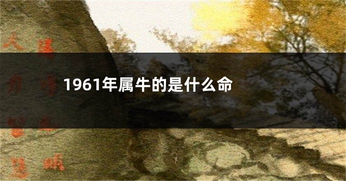 1961年属牛的是什么命 