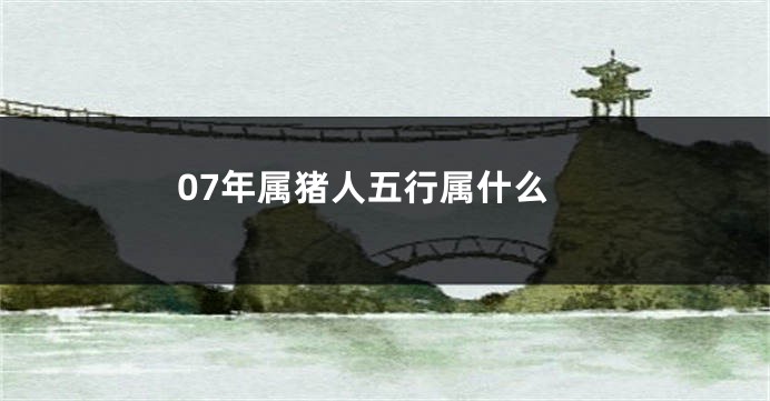 07年属猪人五行属什么