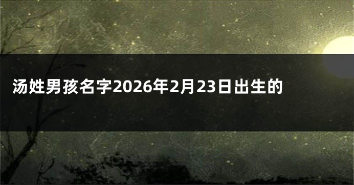 汤姓男孩名字2026年2月23日出生的