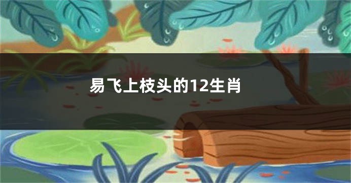 易飞上枝头的12生肖