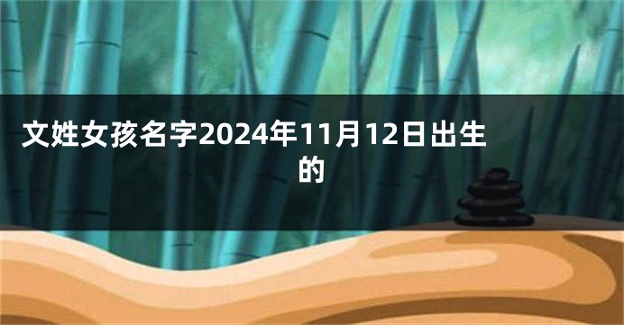 文姓女孩名字2024年11月12日出生的