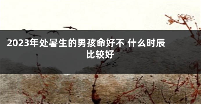 2023年处暑生的男孩命好不 什么时辰比较好