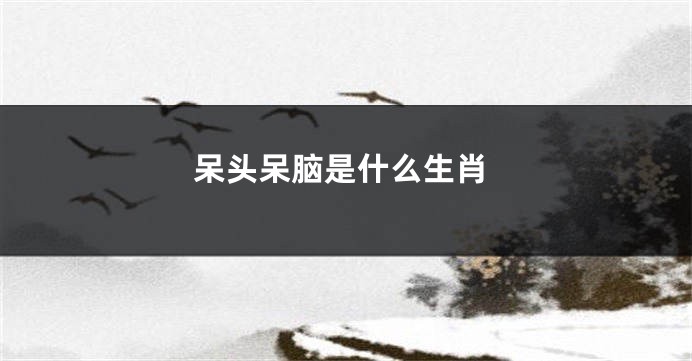 呆头呆脑是什么生肖