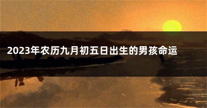 2023年农历九月初五日出生的男孩命运