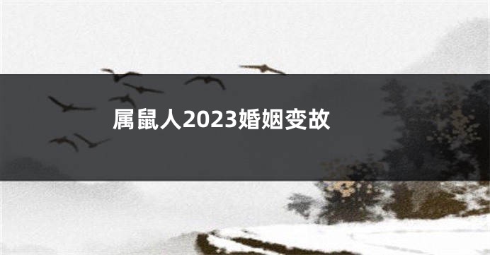 属鼠人2023婚姻变故
